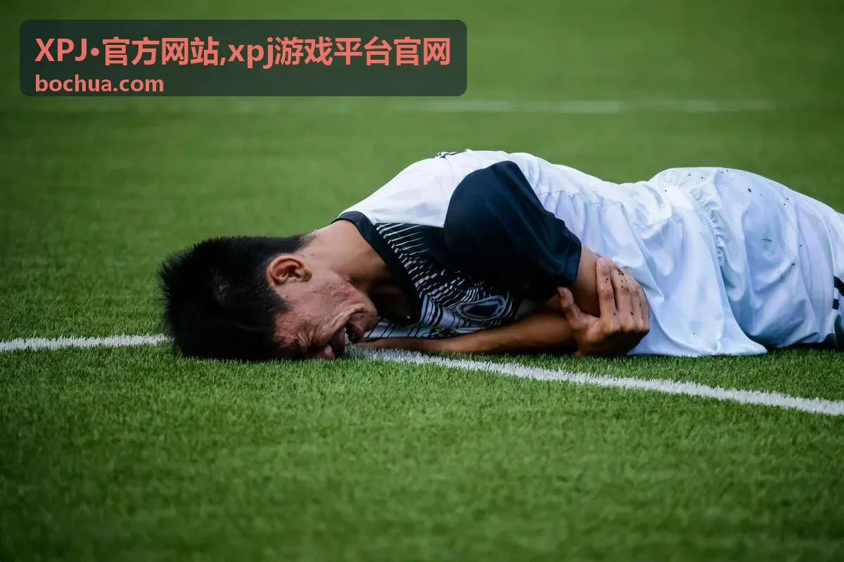 XPJ·官方网站平台概览与入口说明